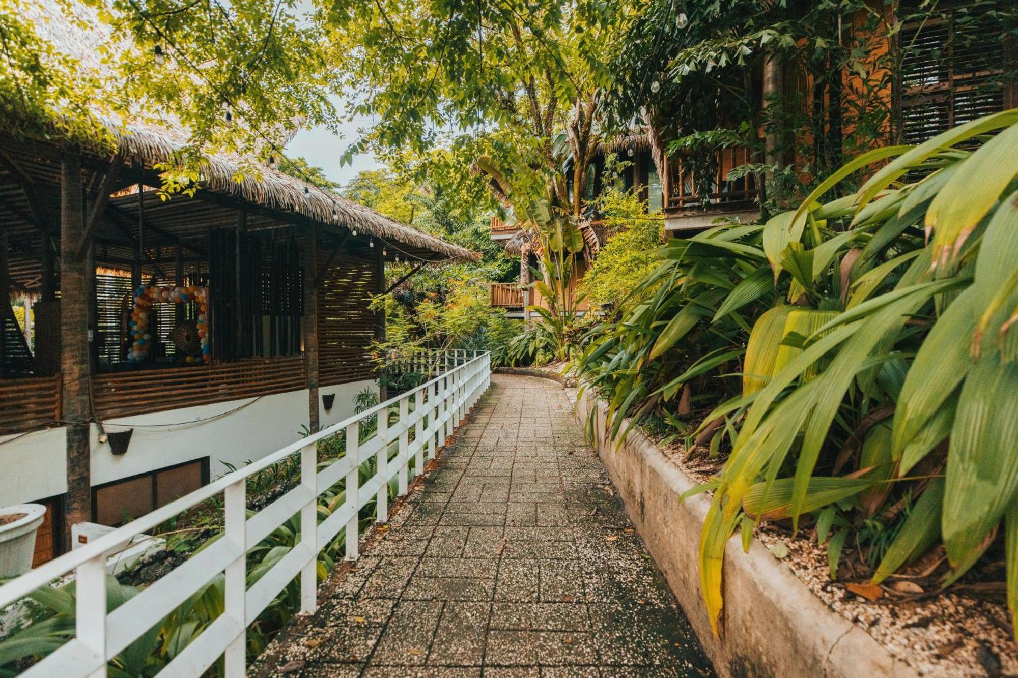 Socialtel 4* Nosara